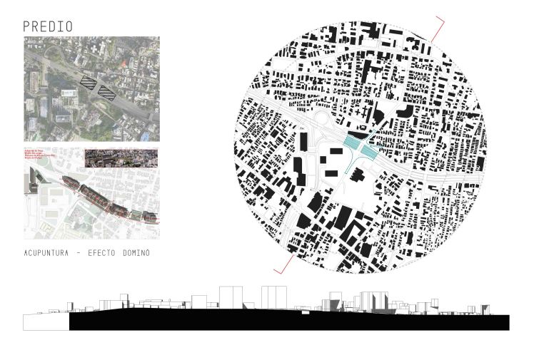 Presentación Final - 5010-10