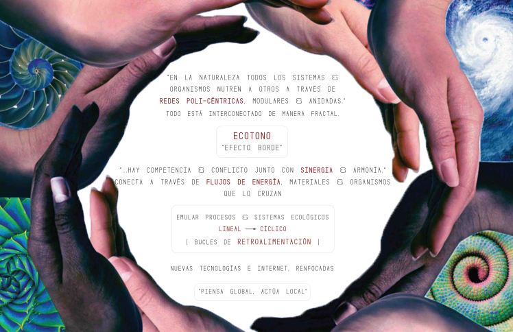 Presentación Final - 5010-6